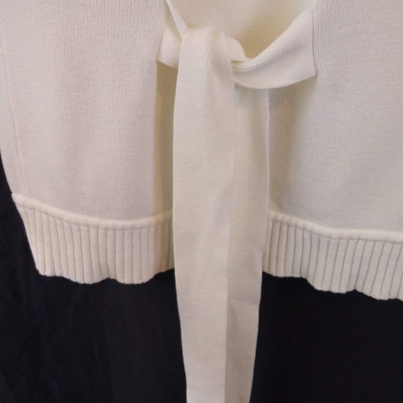 BCBG Maxazria White Ribbed Sweater - Picture 9 of 11